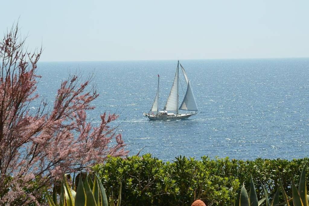 Villa Vallgornera PMI Exteriör bild